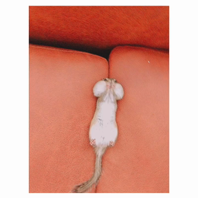 わがままボディ♡♡♡の画像