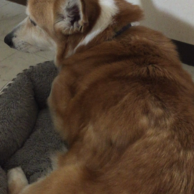 ホルモン治療8日目の画像