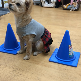 だからさぁ〜。の画像