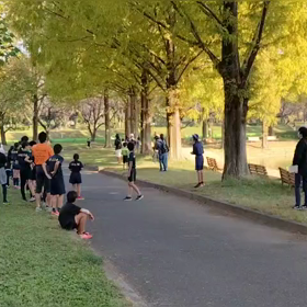 11/3　ミニ駅伝⑥の画像