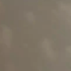 φなにこれ、なにこれ (1歳8ヶ月)　 ※動画有りの画像