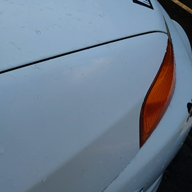 今年も一年、お世話になりましたの画像