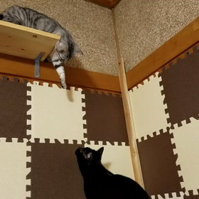 一瞬だけど･･･の画像