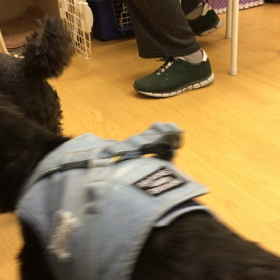 通ってる年数が違うものね。の画像