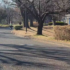 12/29 1500m④の画像