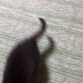 元気なおチビちゃんの画像