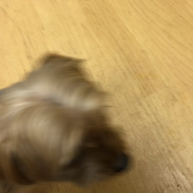 先生！？の画像