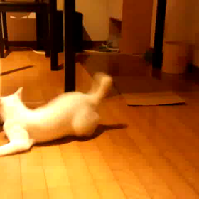 大好き！ねずみちゃんの画像