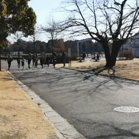 長距離記録会 Cグ ループ スタートの画像