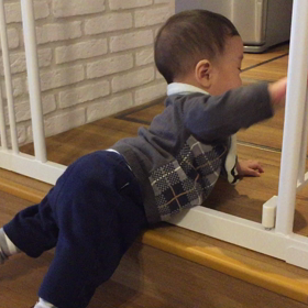 お久しぶりでございます(　ﾟдﾟ)まるちゃん8ヶ月！の画像