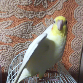 服、入れ替えました。の画像