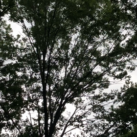 気まぐれマヤ暦　Ｋ１４８　音5 8/24 月の画像