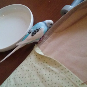 暇、boring⌒(ё)⌒の画像