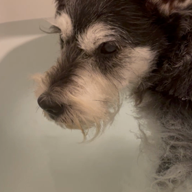 美味しい出汁の画像