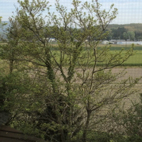 ホーホケキョ〜♡の画像