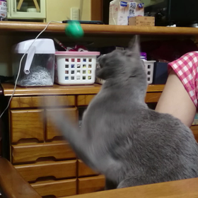 本能的にワ～イルドラ～イフ∟(￣(工)￣)ノ！の画像