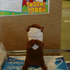 カワウソ君の親子の画像