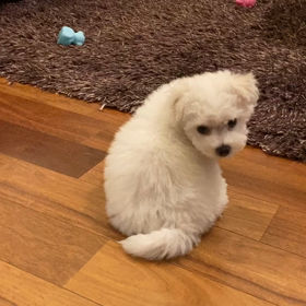 宙君　すっかり慣れました。の画像