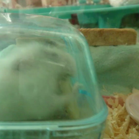 スマホの充電と乾燥バナナの画像