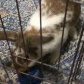 今日のふづきちゃんの画像