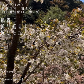 Ｋ１１４　　執着は折り紙のように折りたたんで〜の画像