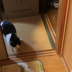 執事のひとり遊び？か？の画像