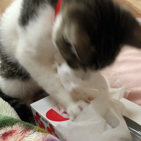 空お気に入りその２の画像