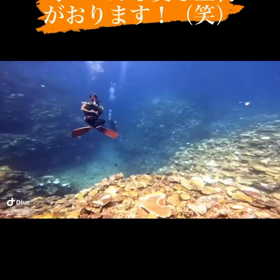 瞑想ダイビング！海人石垣島の画像