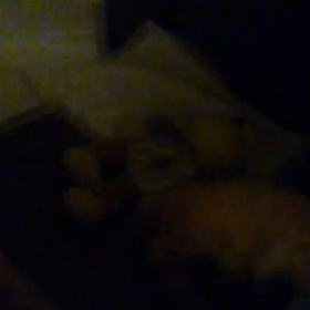 おはようございますの画像