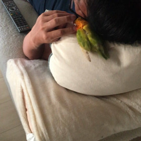 〓  甘えるアンちゃんが可愛いヽ(〃∀〃)ﾉの画像