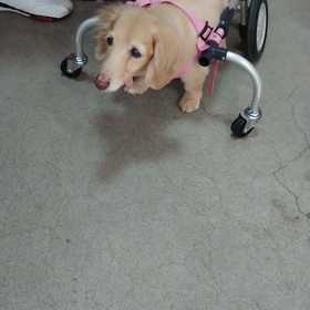 工房のあれこれ ～遠方から～の画像