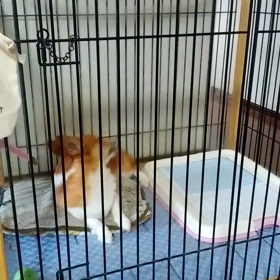 今日は…いや今日もwの画像