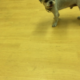 いっぱいあげたのに。の画像