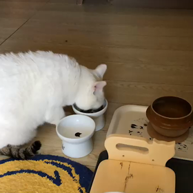 食欲の春の画像