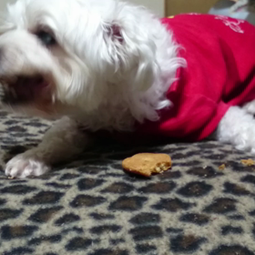 何、食べてる。の画像