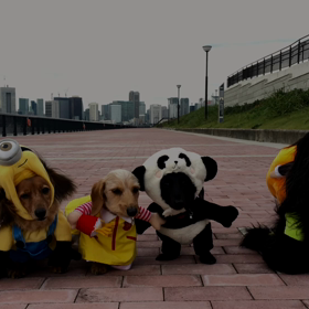 2017ハロウィンの画像