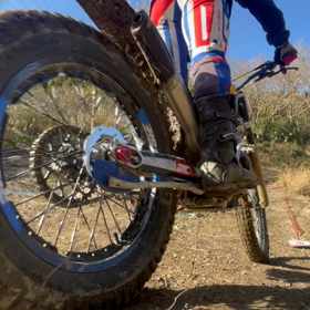 昨日の4セクションの画像