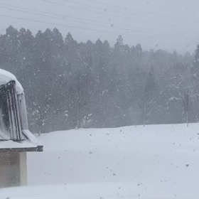 昼からが凄かったの画像