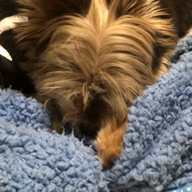 J  赤ちゃんになる？！？の画像