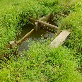 バスフィッシング！の画像