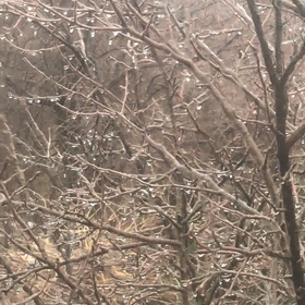 アメリカの美容院で日本体験の画像