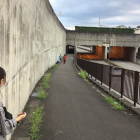 新人戦応援終わってからの坂トレ(^^)の画像