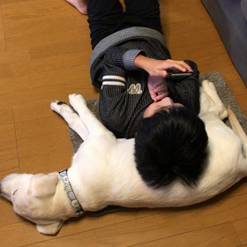 台風の夜に仲良し兄弟♪の画像