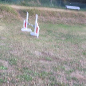 11/11 すいらんグリーンパーク(アジリティ編)の画像