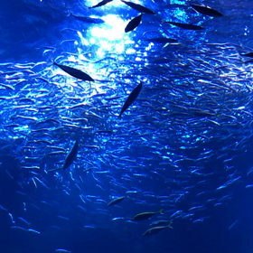 357日目　今日の良いこと３つ　2021年7月3日の画像