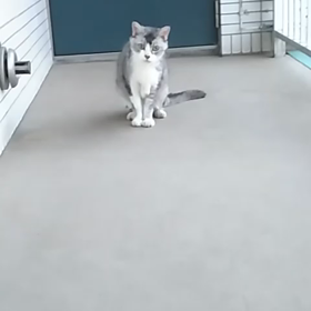 ついさっき！！の唖然とした出来事！！！の画像