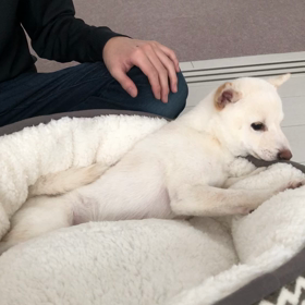 お気に召さないの画像