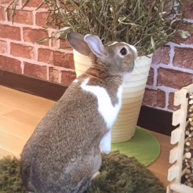 ちょっとずつ～の画像