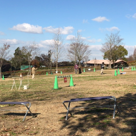 トライアル  ①の画像