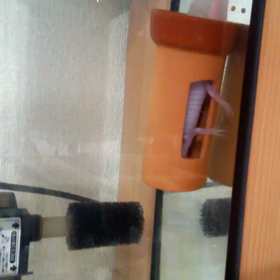 今朝のウパさん♪の画像